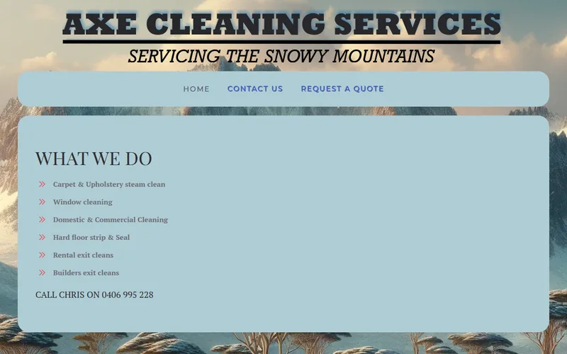 Axe Cleaning website — cleaning services